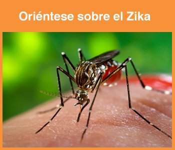 Orientese-sobre-el-Zika