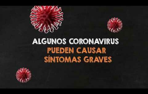 Cápsula Informativa: Coronavirus